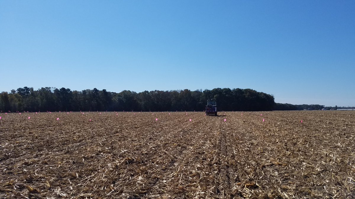 Great day for planting cover crops!