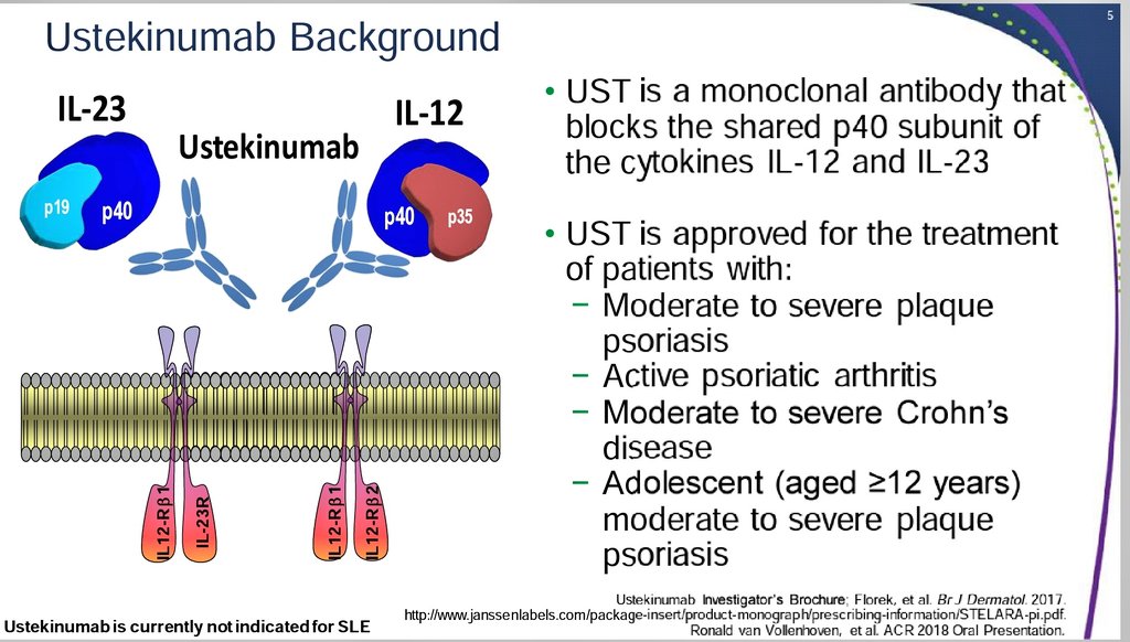 Juan Ovalles MD, PhD on Twitter: "Ustekinumab, an Interleukin-12/23  Inhibitor, a potential new treatment for #Lupus #ACR18… "