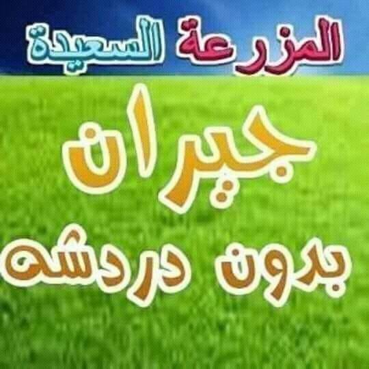 انا نشيط جدا ومتواجد دائما اتمنى حيران نشيطين جداحسابي بالمزرعة السعيدة 0136