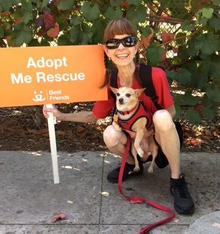 GivingPaws's tweet image. Raising Money for Rescue Dogs doggedhope.com/2018/10/23/rai…