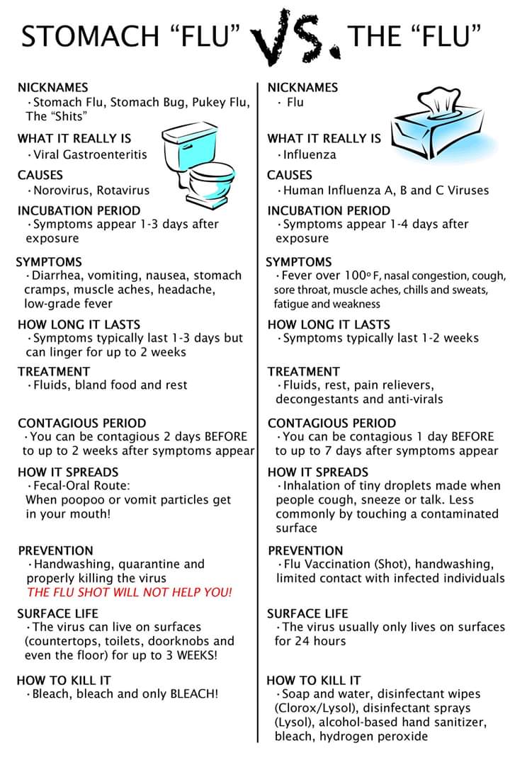 Tara C. Smith on Twitter: "Influenza is not the "stomach flu." https://t.co/d7yNjmsos7" / Twitter