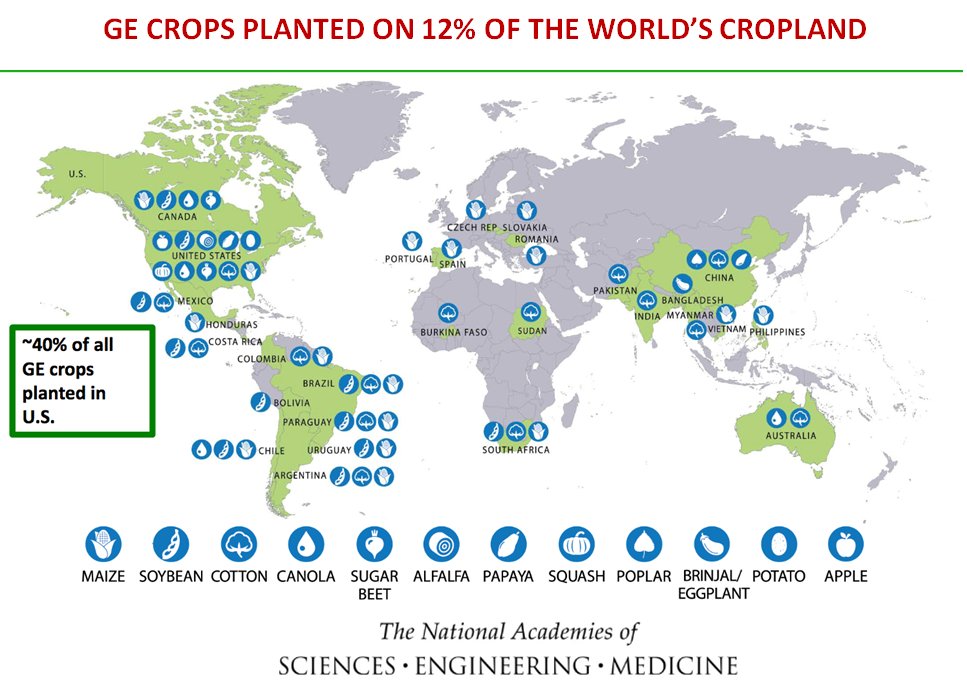 OFAB Nigeria (@ofabnigeria) on Twitter photo By 2015, 18 million farmers in 28 countries had planted GM crops on 180 million acres of arable land.
<a href="/roxydado/">Rose</a> <a href="/OfabAfrica/">OFAB Africa</a> <a href="/lexyabutu/">Alex Abutu</a> By 2015, 18 million farmers in 28 countries had planted GM crops on 180 million acres of arable land.
<a href="/roxydado/">Rose</a> <a href="/OfabAfrica/">OFAB Africa</a> <a href="/lexyabutu/">Alex Abutu</a>