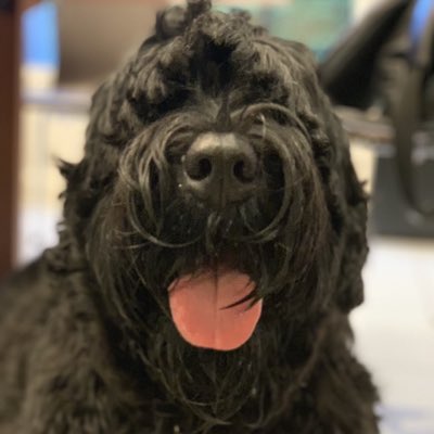 danlib's tweet image. #NewProfilePic