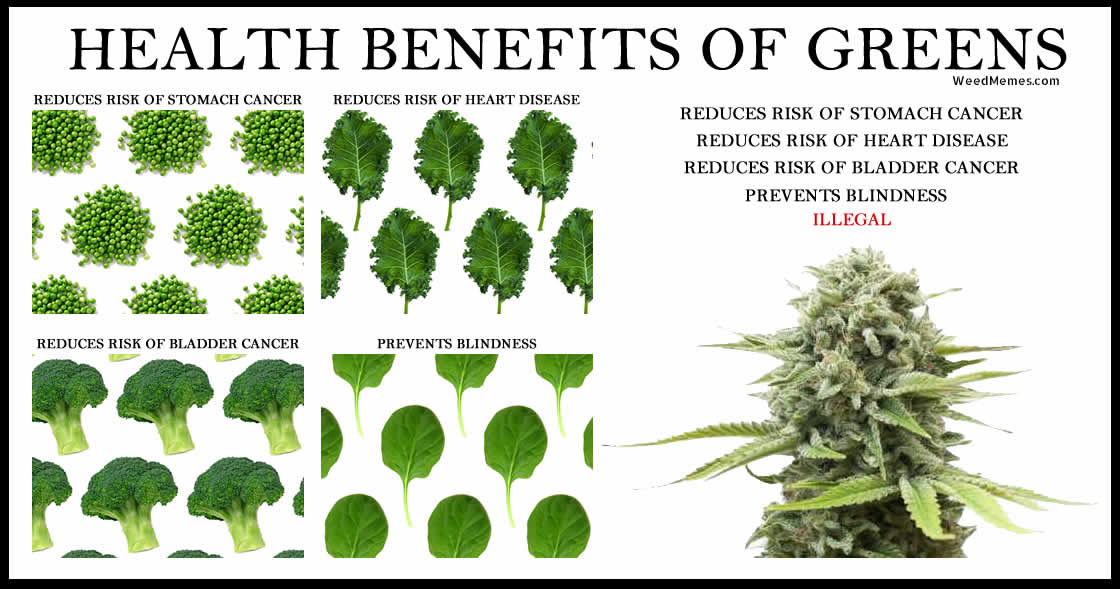 Kunzitoons's tweet image. #TuesdayThoughts 🌿 #EverybodyShouldGet Greens!!!! Does the body good. This is our #TuesdayMotivation 🌱What&apos;s yours❓