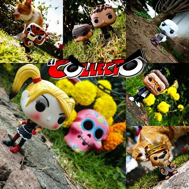 el_collecto's tweet photo. Destacados de la semana pasada
¿Qué foto fue tu favorita?
#FunkoPop #FunkoPhotoADay #FunkoMexico
#qualityfunkophotography
#MiFunko @mexicopopfunko
#FunkwoPhotoaday #TopFunkoPhoto #WeFunkoPop #PopOnTrough #funkoplanet #Funko #Funkopop #originalfunko #f… https://t.co/NN8favwabk https://t.co/8DXJYVaKfg