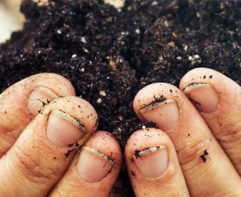 Huge thanks to <a href="/YorwasteLtd/">Yorwaste Ltd</a> for supporting #YorkBizWeek18. Yorwaste is the largest waste management company in North Yorkshire, managing over half a million tonnes of waste per year &amp; carrying out 450,000 collections! Find out more here buff.ly/2EeAbtq #SponsorShoutout