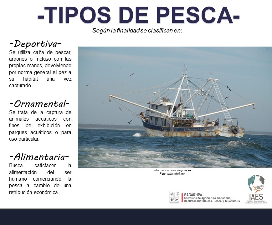 IAES on X: Clasificación de la #pesca según su finalidad  #IAES-#SAGARHPASonora  / X