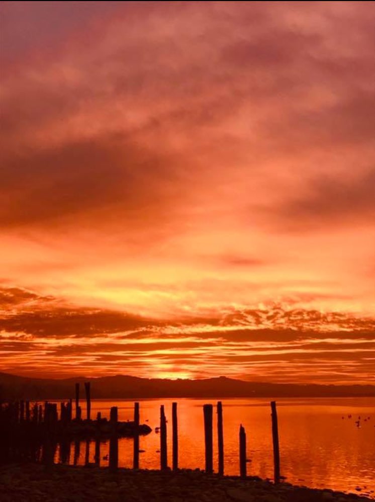 😍 Das war der heutige Sonnenuntergang am #Bodensee.