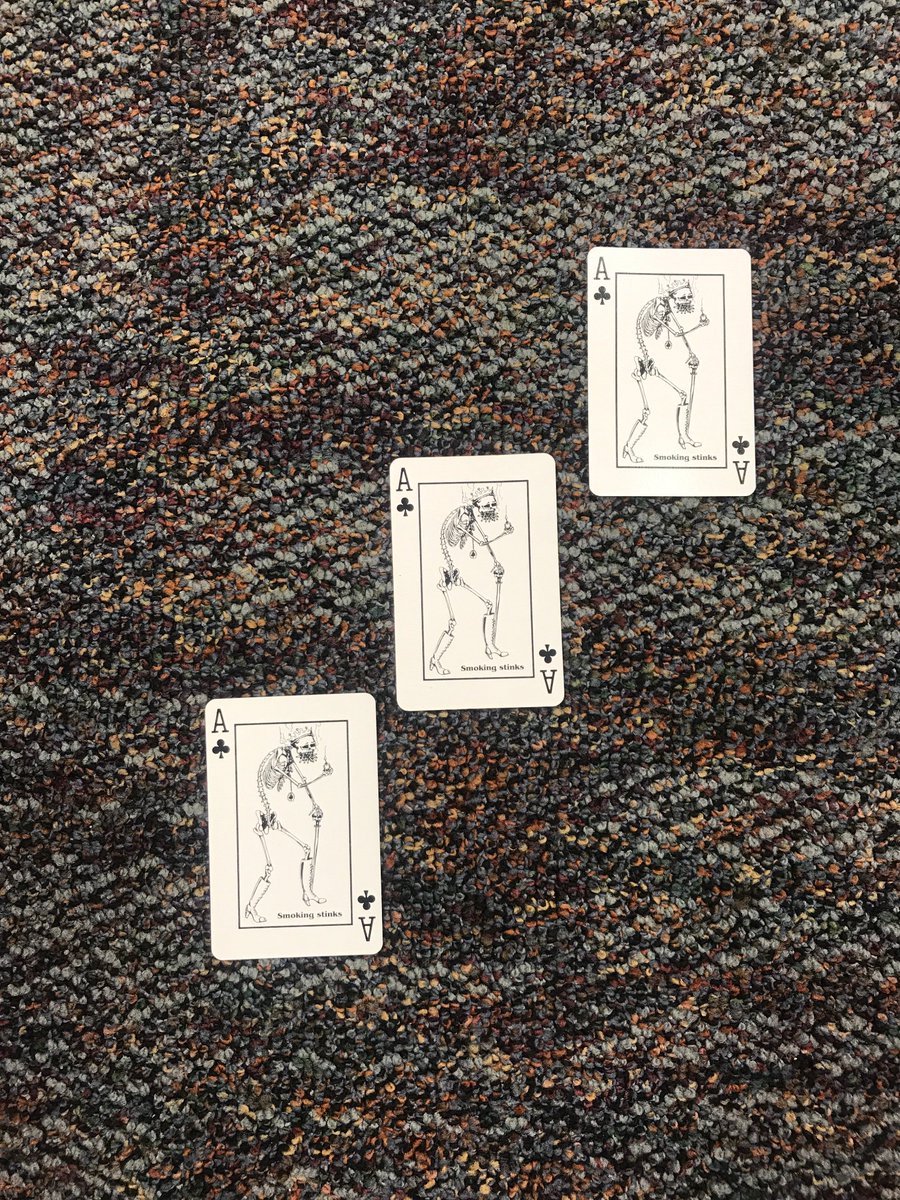 diane putrus tweet media