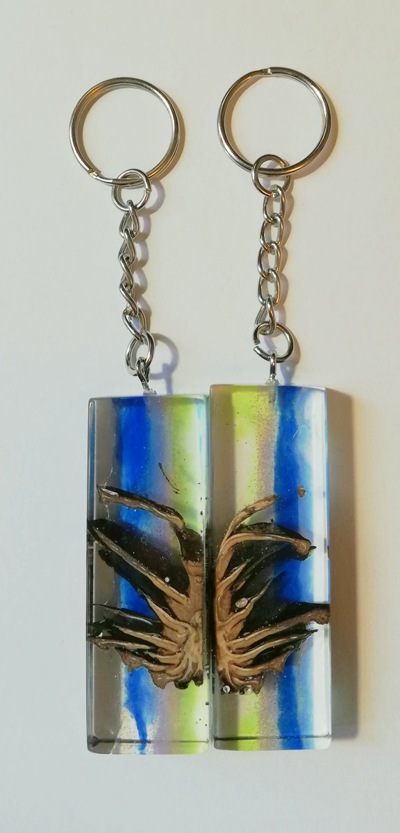 DesignHandcraft's tweet photo. Pinecone.

Dintr-un mediu pur alpin
Prezervate în răşină,
Brelocuri din con de pin
Dinspre vărf - nu rădăcină.

From a purely alpine environment
Preserved in resin,
Pins of cone
Beyond the root - not from the root.

#pinecone #keyring #resin #gift #giftideas https://t.co/Gn9f5Miq4z