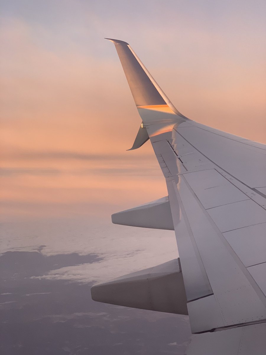 allygreer's tweet image. Flew directly into the sunrise this morning 😍