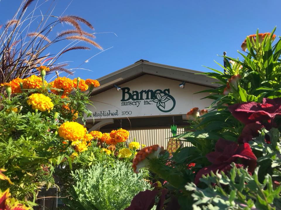 ItsAlwaysOhio's tweet photo. New post! Our friends over at @barnesnursery are having a houseplant swap, you should go. 🌿 https://t.co/INyAYDhLqd #TravelTuesday https://t.co/v7iuWxmEEl