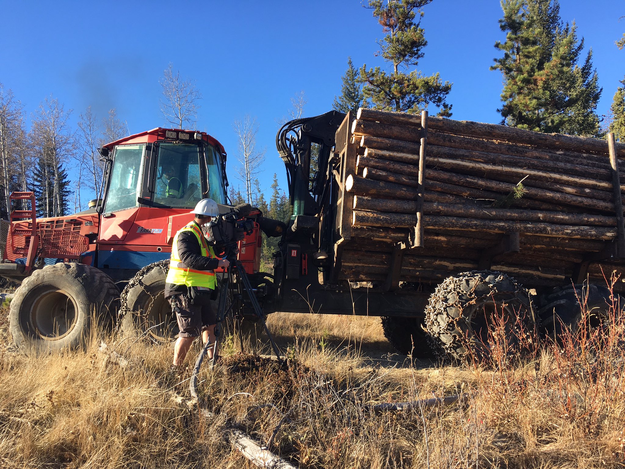 Sarah Kraus on Twitter "This is what the tree removal looks like above
