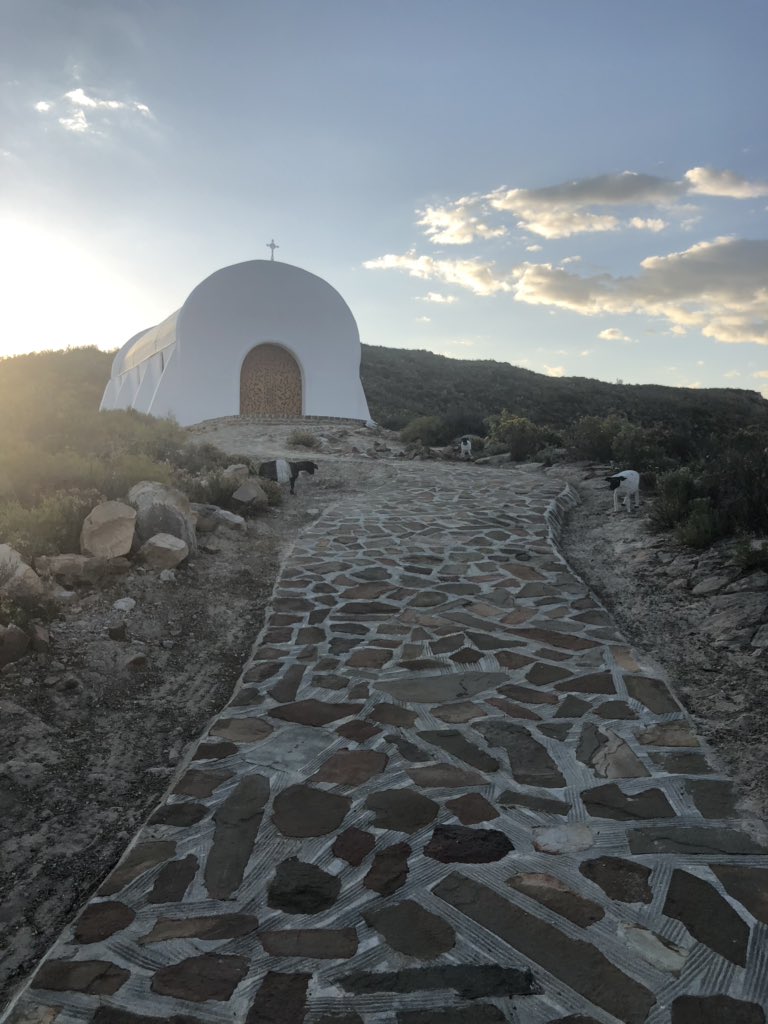 Ricardo Mackenzie MPP🇿🇦 tweet media