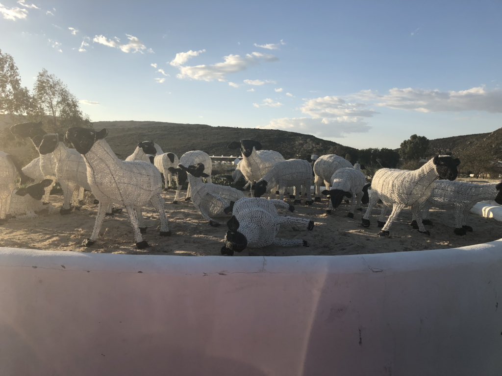 Ricardo Mackenzie MPP🇿🇦 tweet media