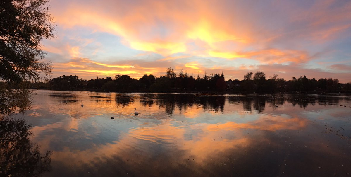 Awesome doorstep tick ✅ this evening. Red necked grebe on #roathpark lake #cardiff puts me on 195 for the year. Plus a celebratory #sunset 🌅. #200birdyear #glambirds