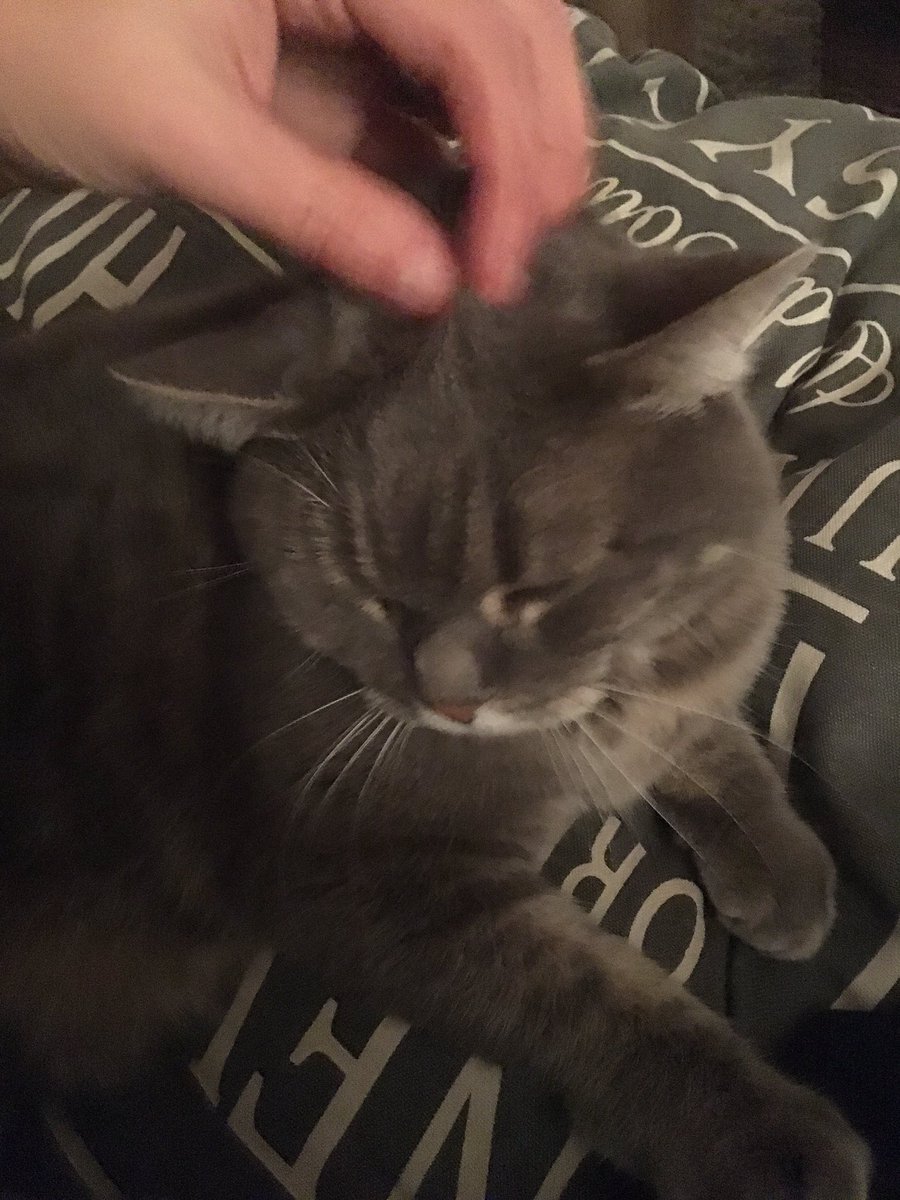 LisaaRo's tweet photo. Dikke knuffelkont #liefde https://t.co/863GyaZv6d