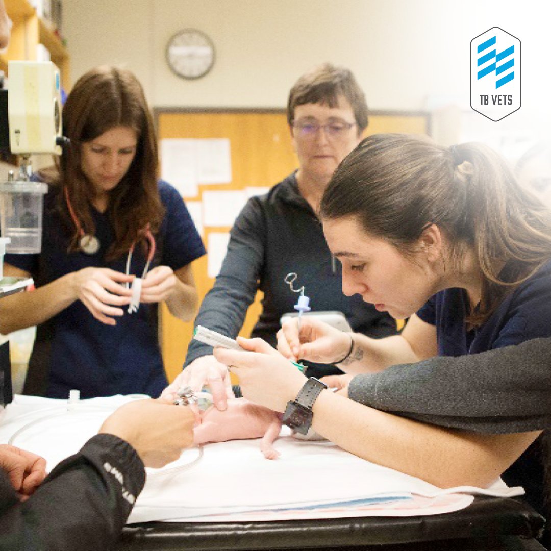 TBVets's tweet photo. Did you know that the Respiratory Therapy program at @thompsonriversu is the only one in BC? Students trained here work in communities across the province and country. Your generous giving to TB Vets translates to bursaries that greatly help our future RTs. #RTweek #RTweek2018 https://t.co/Ynn1ibB7gx