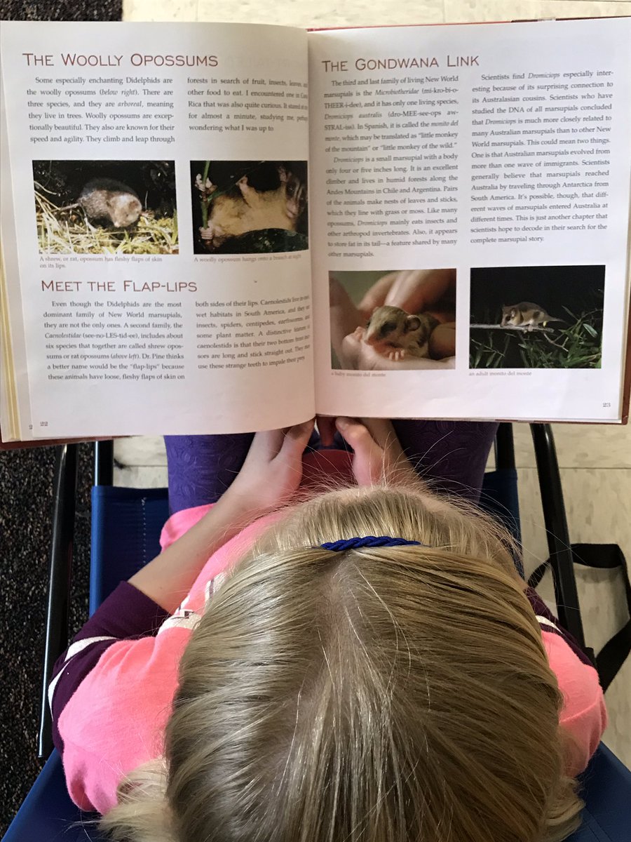 Shawn Lyons tweet media