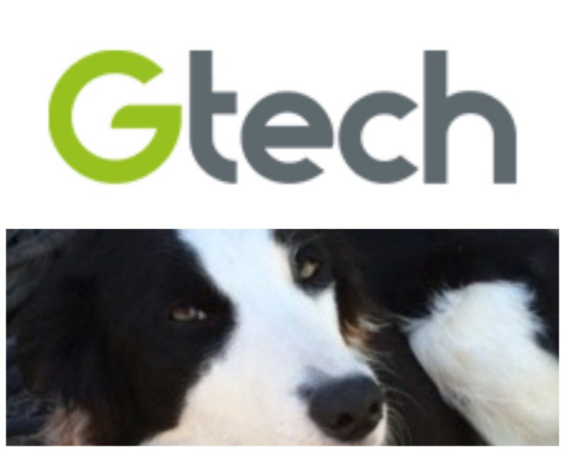 models_direct's tweet image. Well done to Bella the Border Collie for her successful advertising shoot with Gtech in Henley-on-Thames! #petmodelling