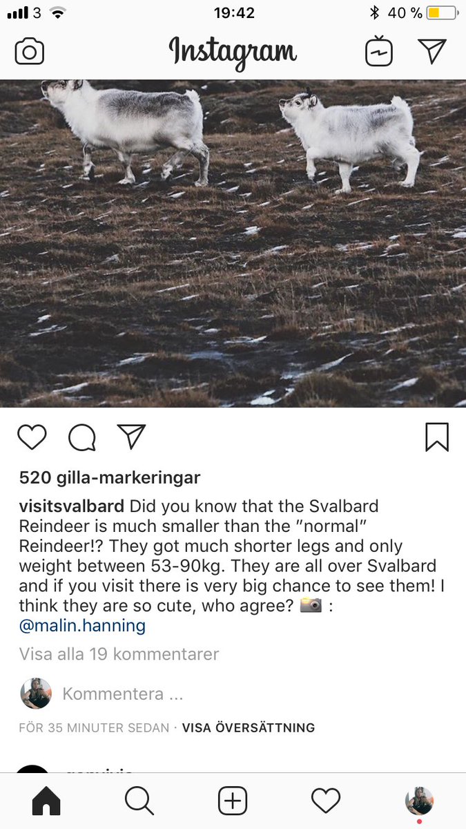 epicreboundgirl's tweet image. åker till svalbard nu