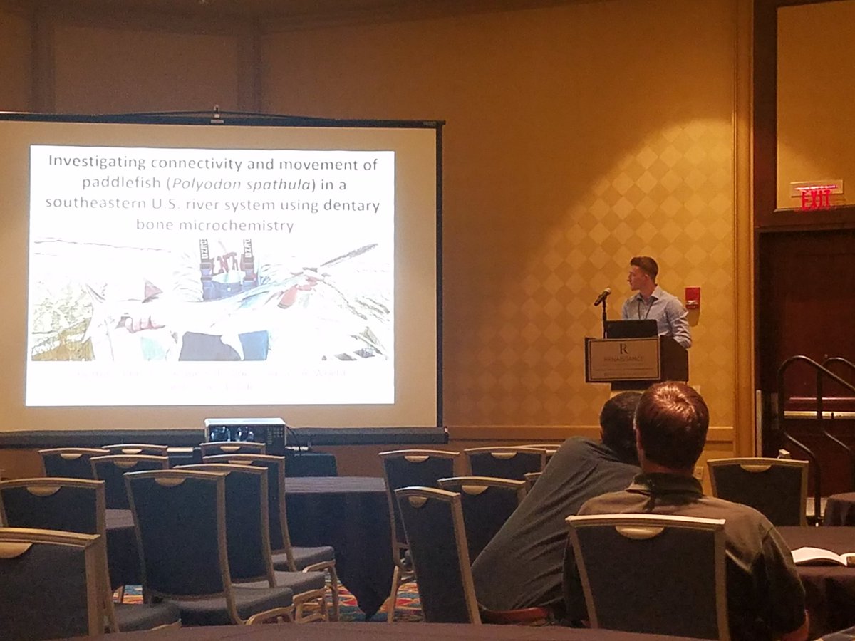 spoonbill_hank's tweet photo. Wish we could be at #NASPS2018 and #SEAFWA2018 at the same time... garret kratina and I both presented on #paddlefish this week. https://t.co/mQebeqNDdm