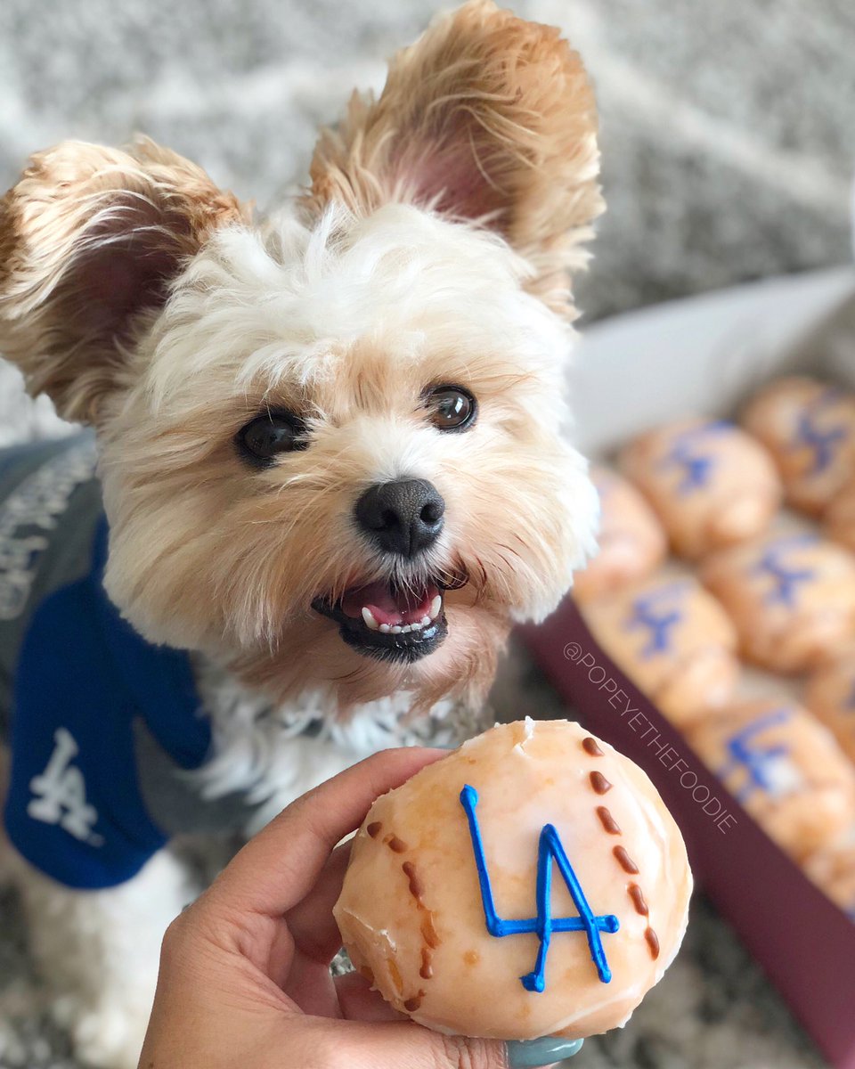popeyethefoodie's tweet photo. Who else is World Series game ready?
@Dodgers themed donuts from @PrimosDonutsLA . π
#popeyethefoodie #primosdonuts #dodgers https://t.co/Ftoefruihz