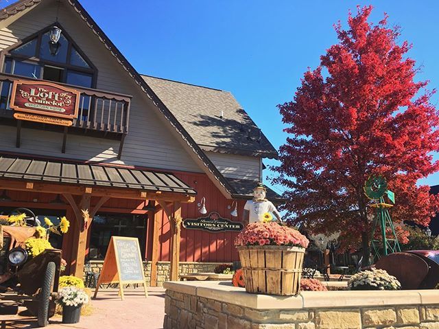 ILuvBrownCounty's tweet photo. Have you seen the beautiful red tree right outside the Visitors Center? 😍
.
.
.
#ilovebrowncounty #fallinbrowncounty #itsfallyall #nashvilleindiana #fallfoliage https://t.co/fPCUs2Ft99 https://t.co/d4Bsf9Gy7p