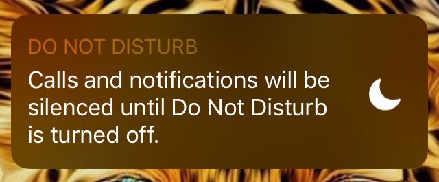 CourierBoyUK's tweet image. Fucking #iOS1201 update,
Yes I know DO NOT DISTURB is turned on, Stop DISTURBING me!!