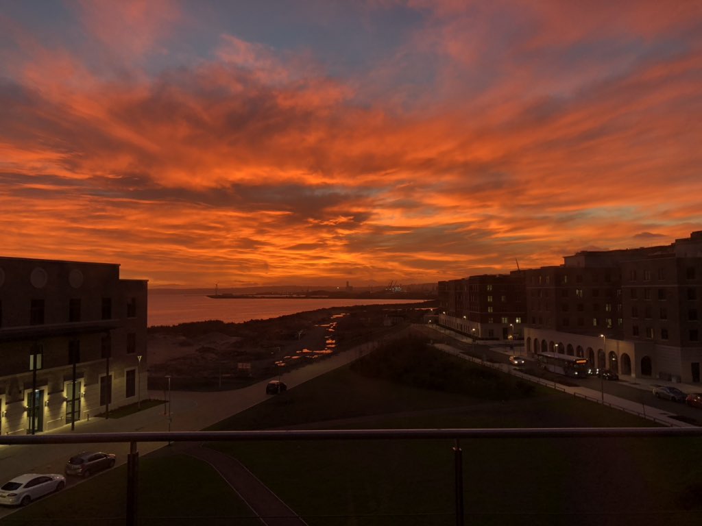 Robert Bowen tweet media