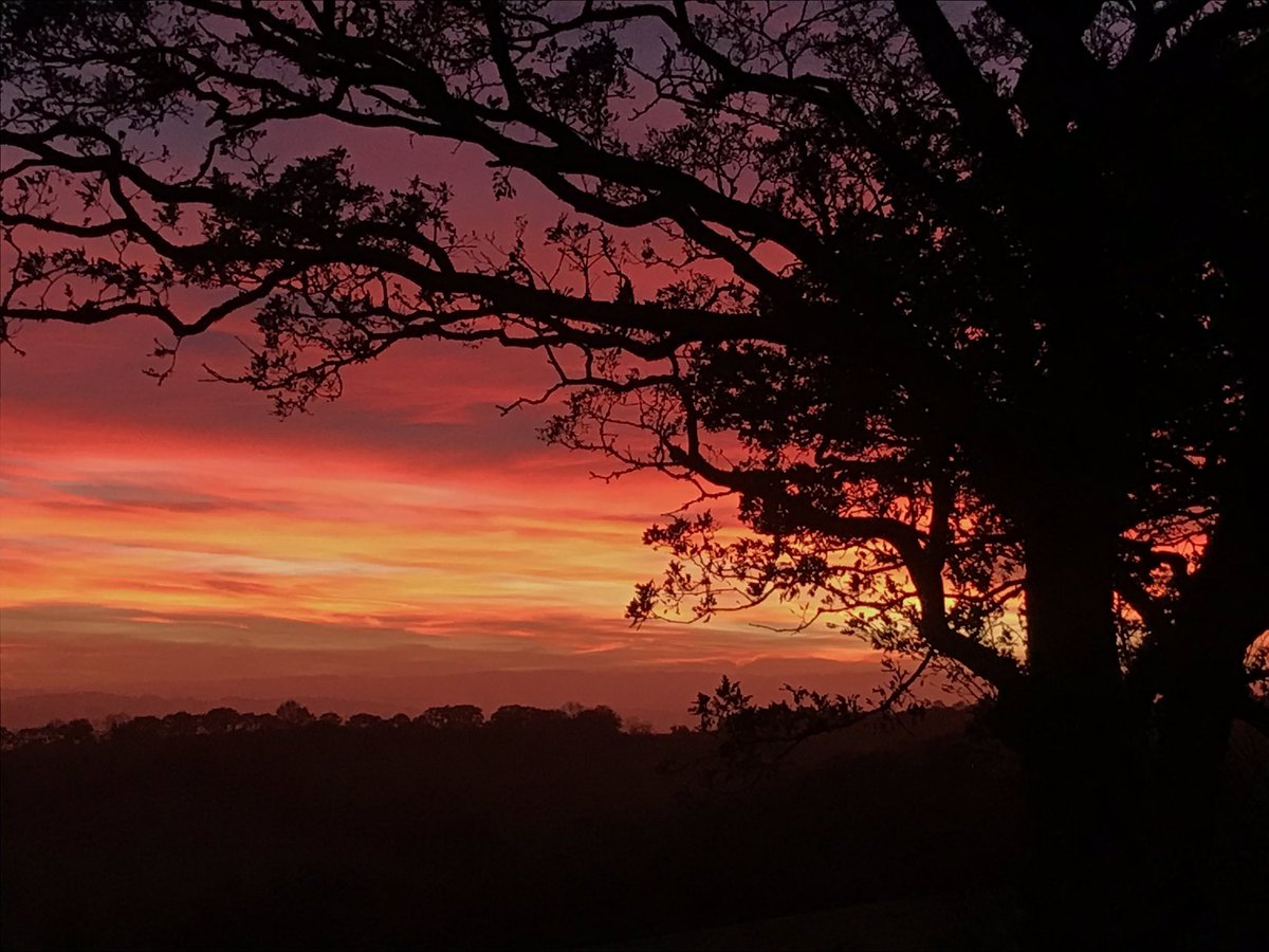 alisonhayes266's tweet photo. Wild sunset tonight #fullmoon #huntersmoon #bakeoff #fireson #woodburner #burningskies #devondelights #devonhour #dartmoor #hills #farming #countryliving #countrylife #countryfile https://t.co/cYLEHVmB1O