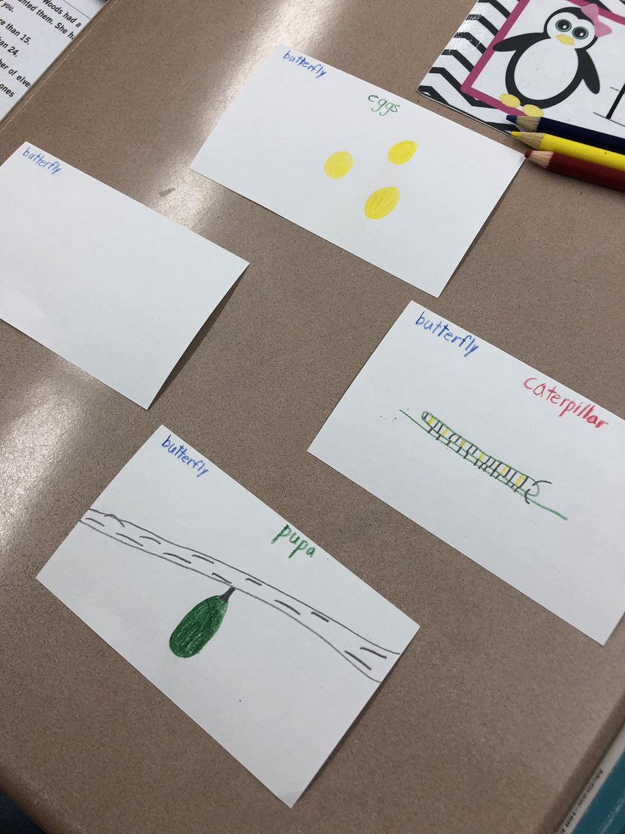 SequoyahElem's tweet image. 2nd graders creating visual representations of how animals grow and change over time. Great use of new science curriculum and teacher-created resources to support standard-based instruction!  Great job, Mrs. Smith! #leadlearner #visualmodel #studentcreation