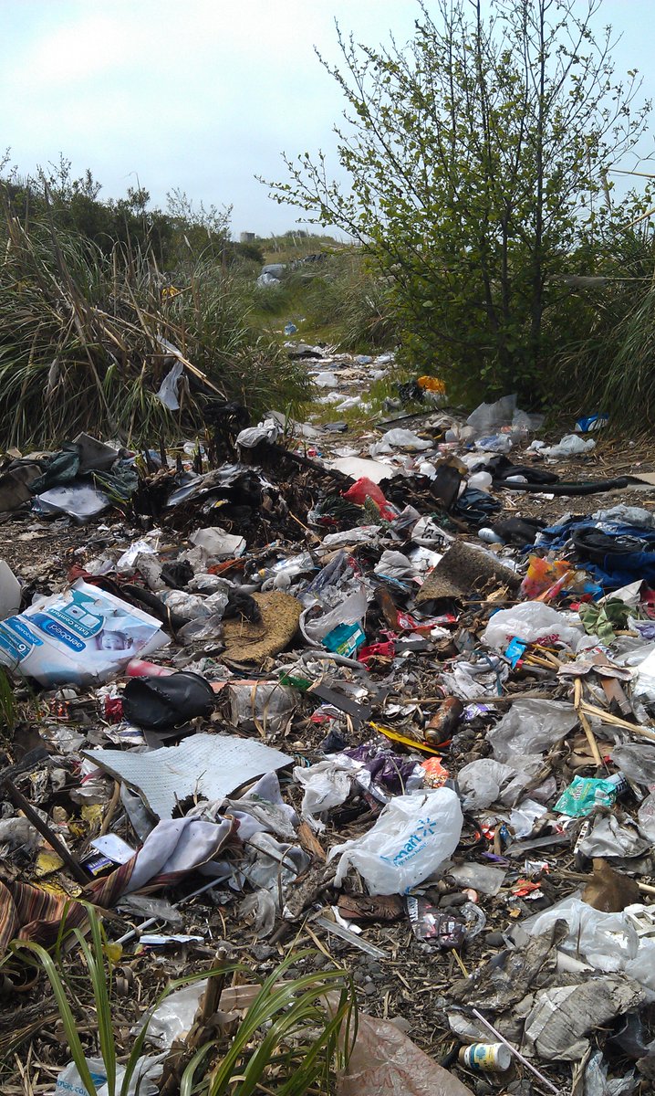 BlueBizCouncil's tweet photo. Rain washes bags, bottles, &amp; other trash off our streets and out to sea. Just ask the 3k volunteers who removed 36k lbs of garbage from riverbanks and beaches on #CoastalCleanupDay. CA's new #TrashFree2030 policy will ensure only rain runs down the drain: https://t.co/g4TItESyhM. https://t.co/L5SvS5supb