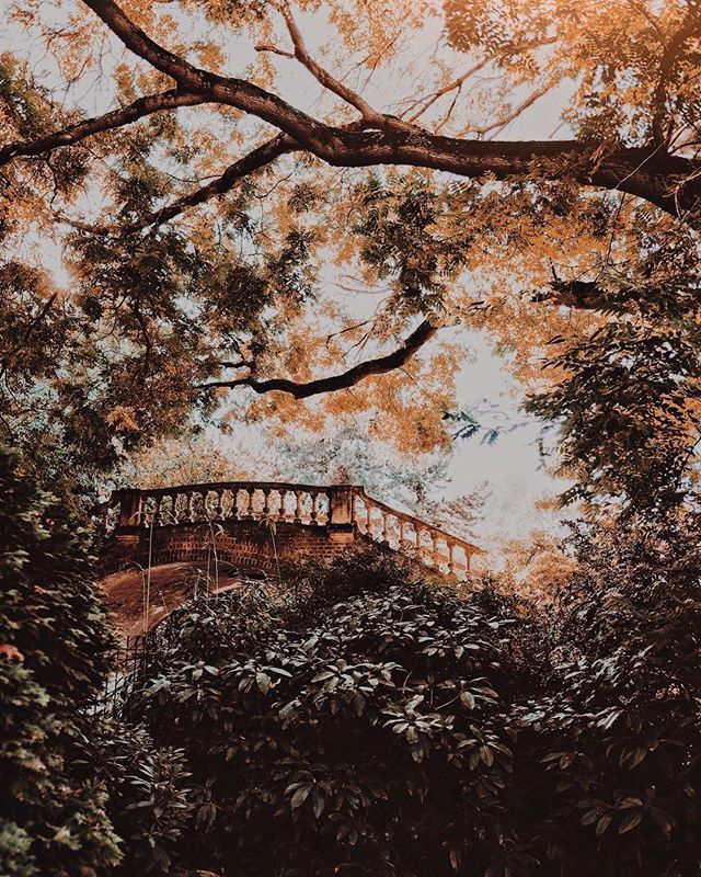 AdamSheath's tweet photo. Dedicated to those who voted for this one👍🏻☀️🍁🍂 #hiddenbridge #optionb #autumnvibes https://t.co/0tmT1sR3Vx https://t.co/Nbrb1XClkA