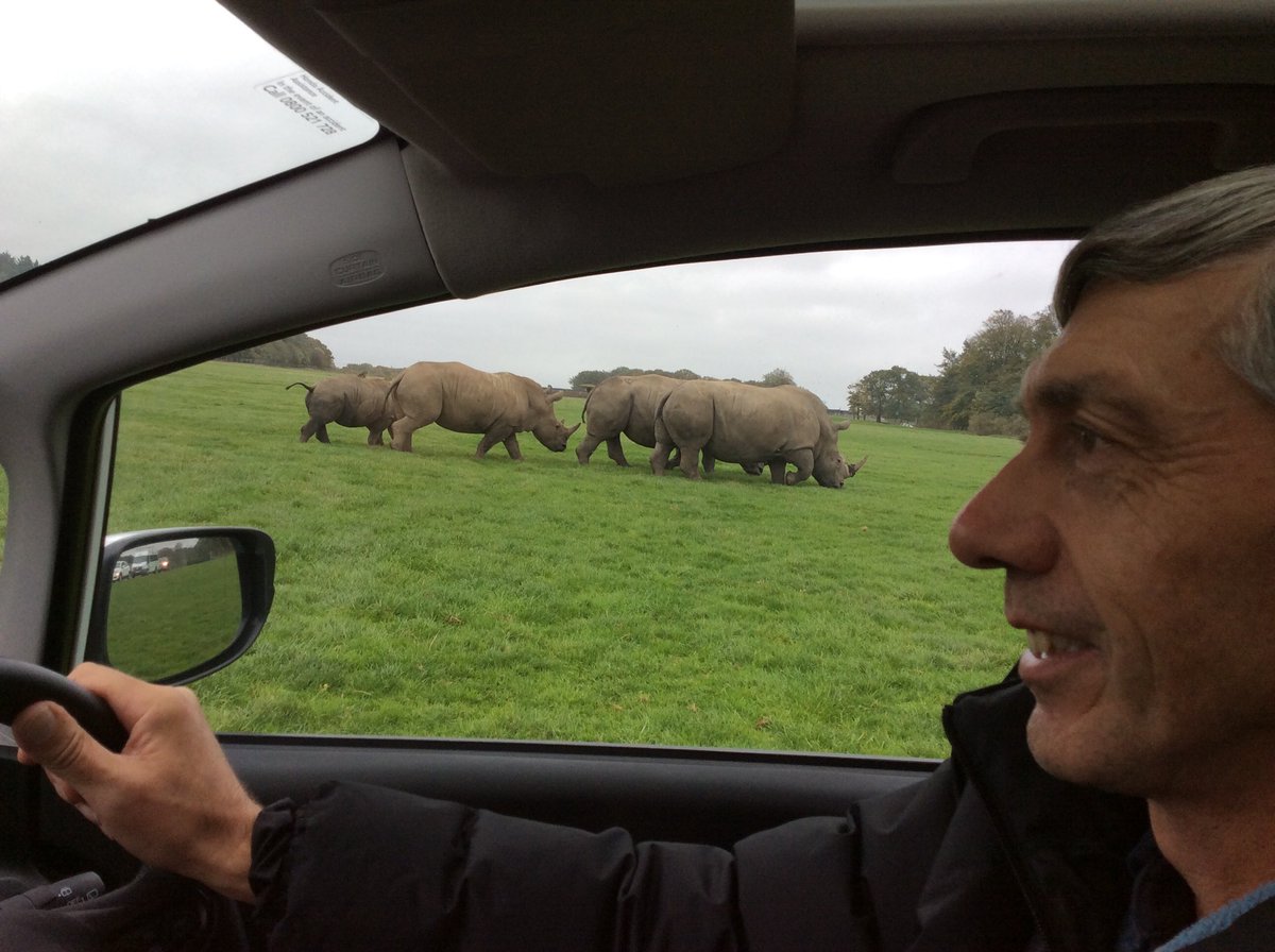 Eyes on the road....zebra crossing ahead.  Rhinos thriving at Knowsley. Buy Rhinos in Peril and donate to help save a species. Rhinosaurus but did we see them?
