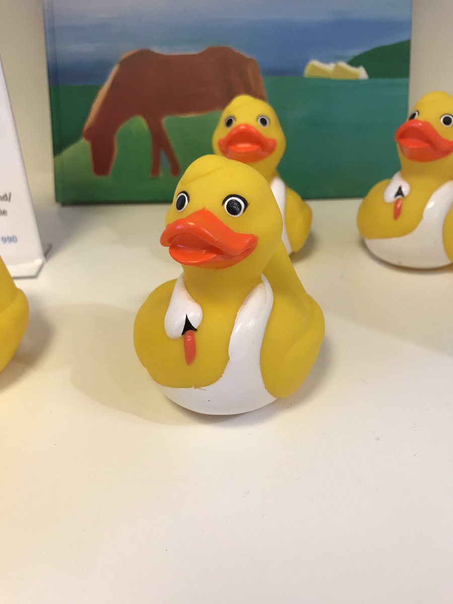 Classics_NHS's tweet photo. Icelandic cousins of #VerDuck spotted in #Reykjavik @stalbansmuseums https://t.co/rDfMMr28VT