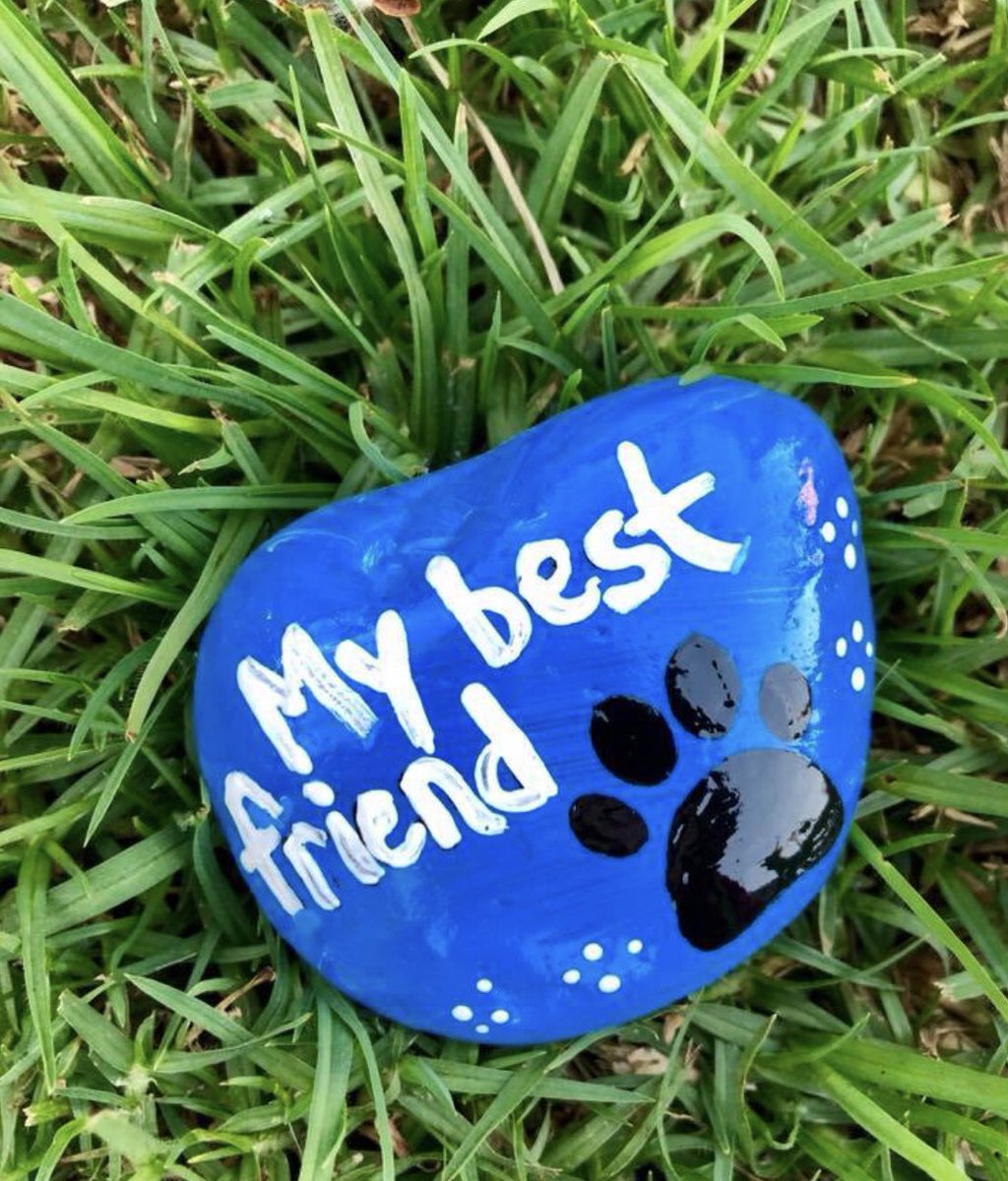 RockProject2's tweet photo. Alright post a picture of your furry #bestfriend in the comments below. Our #dog was our best friend until Papa stole his heart away! 😂 #rockproject #bekind https://t.co/gkQMWvQnuy
