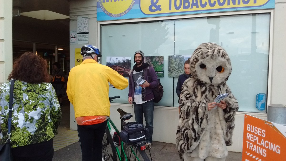FoEAustralia's tweet photo. Post banner drop train station fliering for forests at Moorabin station in #Bentleigh. @NStaikos #BentleighLovesForests. @asherjudah yes we DO have jobs - I'm a conservationist, Tessa works in hospitality and Hamish is a teacher. #voteforests #VictoriaLovesForests https://t.co/Nja7tJPaJV