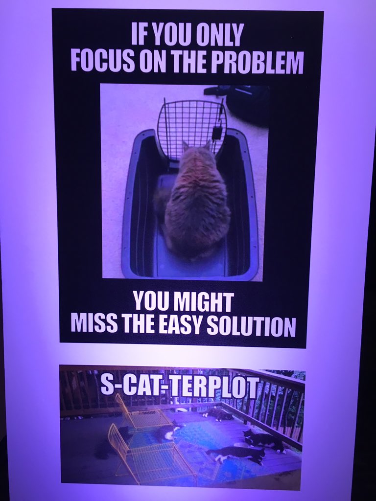 DonoYEG's tweet photo. #tc18 the hall of cat memes 
1/3 https://t.co/am5umjjJMT