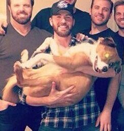 LoveMyDogs16's tweet photo. This guy and his dog are so adorable. @ChrisEvans #ChrisEvans #dodger #Lovemydogs #furbabies #DogLover #DogsLife #celebdogs https://t.co/enlciJALWJ