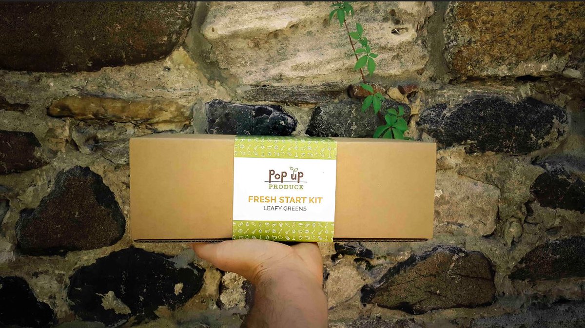 Our Leafy Greens Fresh Start Kit is perfect for beginner growers and great for kids and fun for all ages! 
Interested in shopping our kits? Head to our Amazon page!