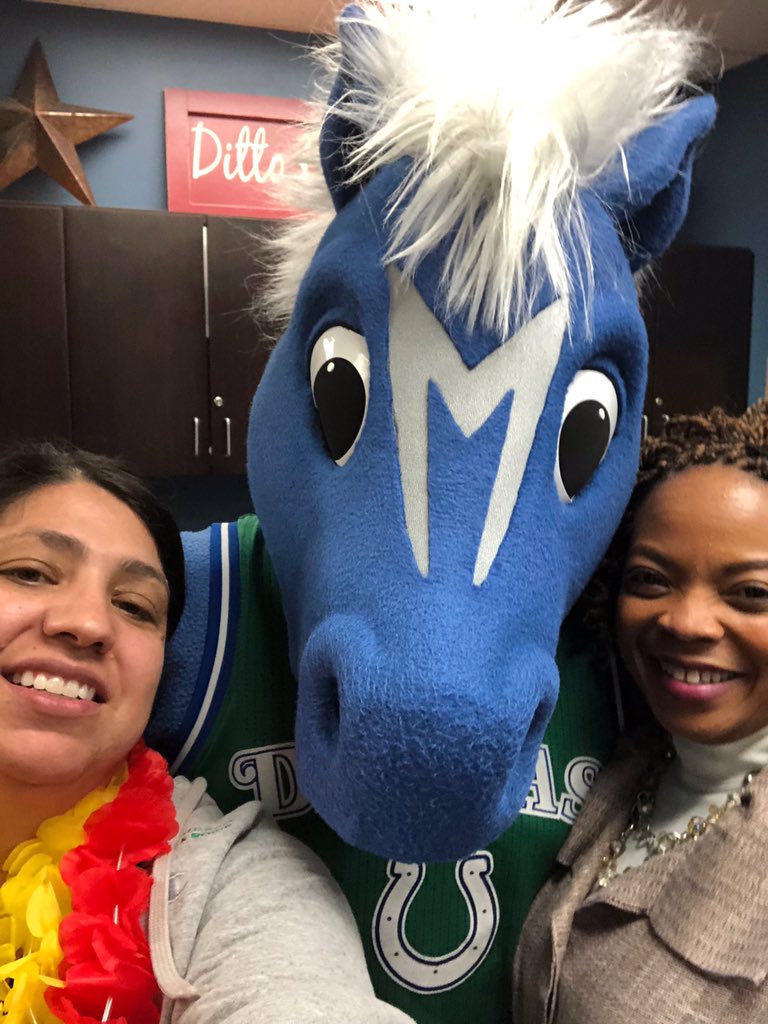 Ditto Elementary tweet media