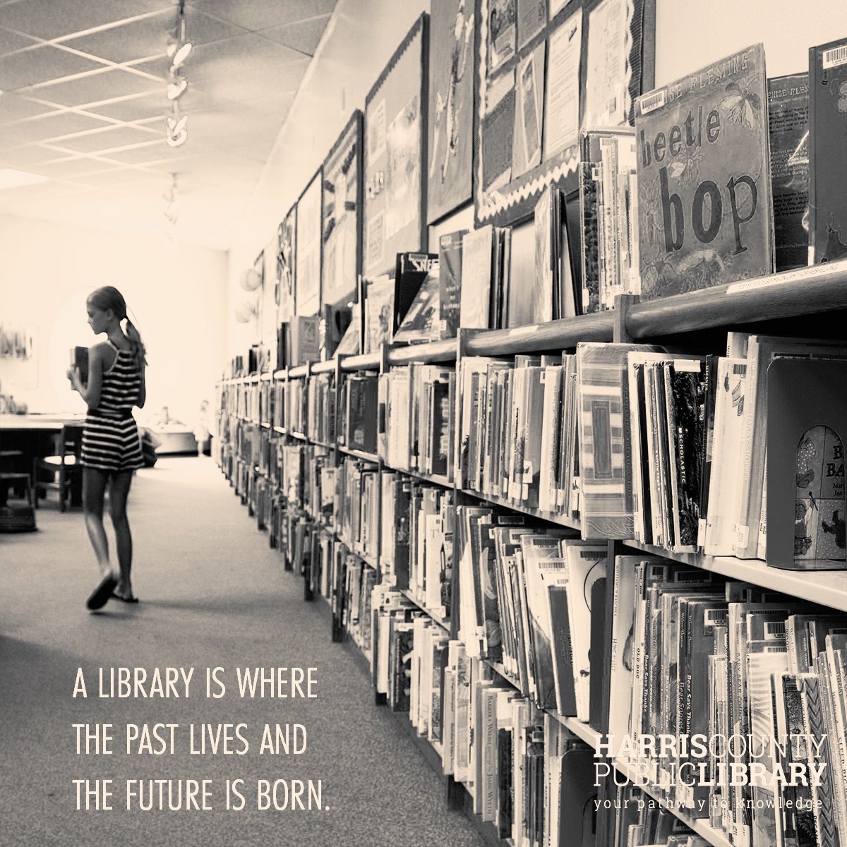 Harris County Public Library tweet media