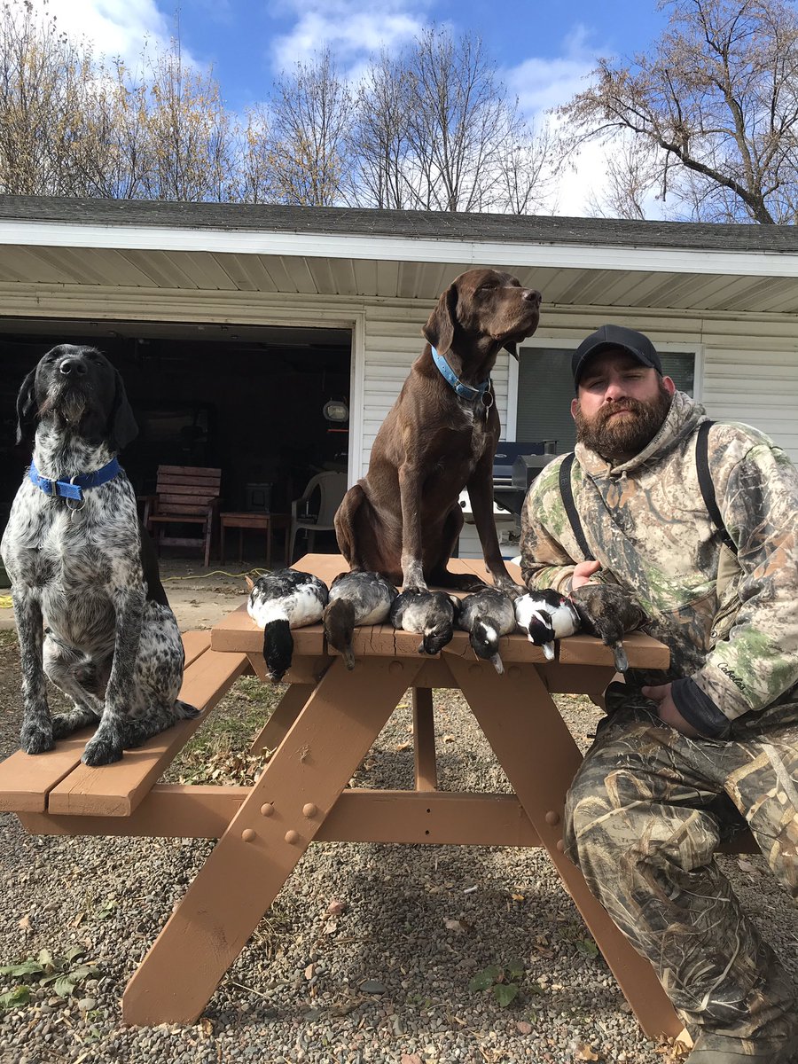 GooOutdoors's tweet photo. @chiswcc37 looks good next to those Wirehairs... Maybe I’ll bring him to the dark side. #VersatileGunDogs #NAVHDA https://t.co/PS9qX4xlyu
