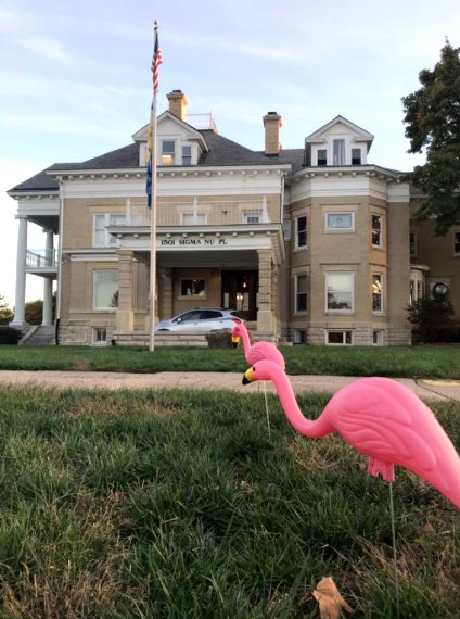 Keep an eye out for these pesky birds! Each Flamingo in your yard represents $2 that you donate to <a href="/cmnkc/">CMNH Kansas City</a>! Here we have our first victim of the #MiracleMVMT flocking. Thank you to the men of <a href="/KansasSigmaNu/">KU Sigma Nu</a> for being such good sports. #YouveBeenFlocked