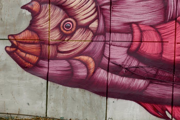 PICNIC.media tweet media