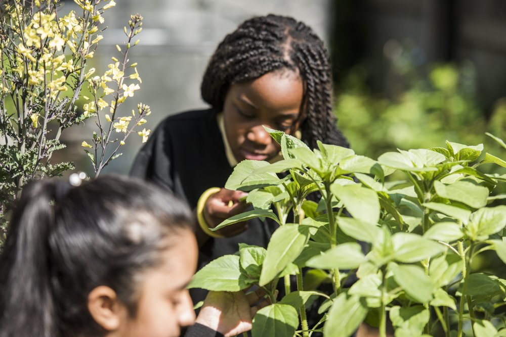 #LessonIdea: Take your class on a texture walk around the school grounds, local green space or any outside environment. Explore vocabulary and encourage imagination through the experience of how things feel. bit.ly/TextureWalkLes…