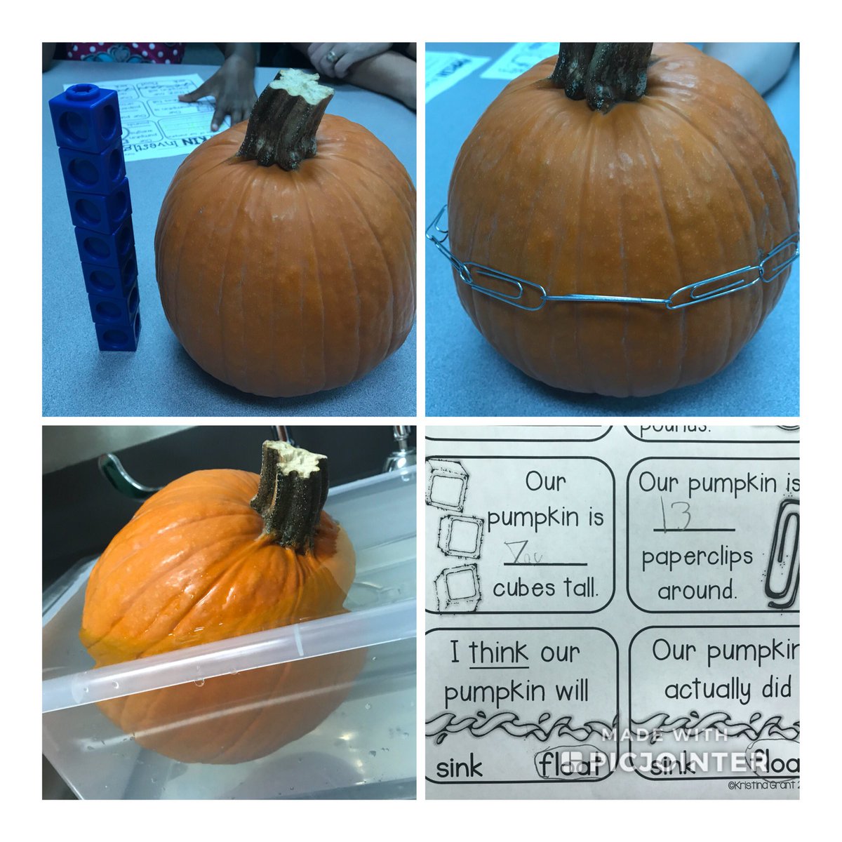 MylleWhigham's tweet photo. We had so much investigating our pumpkin today! #experimentweek https://t.co/zNTBwhJpY3