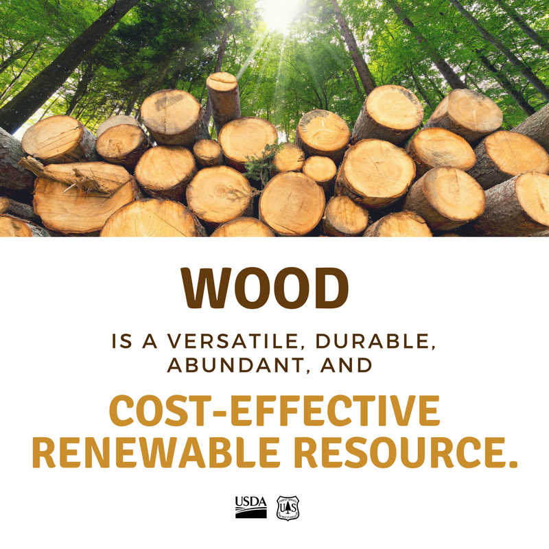 WVUrenewable's tweet photo. In 2015, the forest products industry contributed $3 billion in output to the WV economy, employing over 16,300 people. #ForestProductsWeek
#WVU Wood Science &amp; Technology degree prepares you for these careers:
https://t.co/XRHpi0WURE
 
@WVUAdmissions  @wvudavis  @HonorsCollege https://t.co/1BUdOSv1hG
