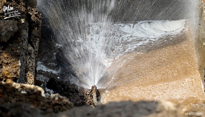 Ver imagen en Twitter